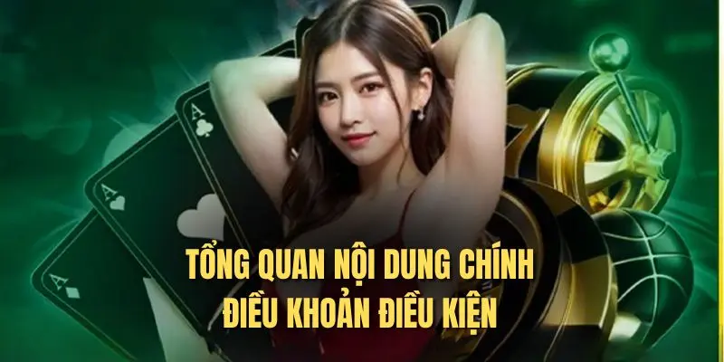 Đôi nét điều khoản điều kiện