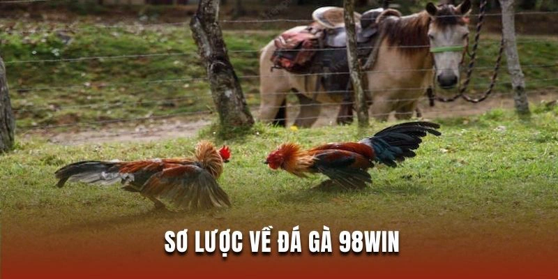 Tận hưởng cược đá gà online bùng nổ tại sân chơi