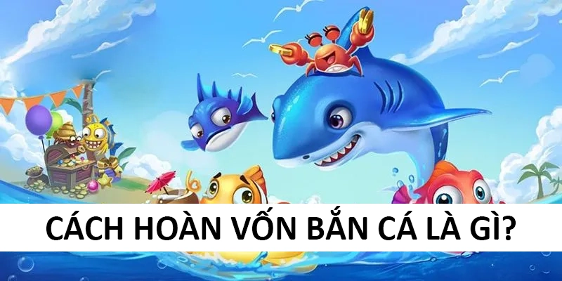 Tận dụng cách hoàn vốn bắn cá triệt để cho trải nghiệm ấn tượng