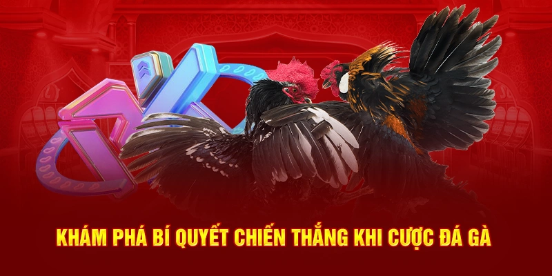 Khám phá bí quyết chiến thắng khi cược đá gà