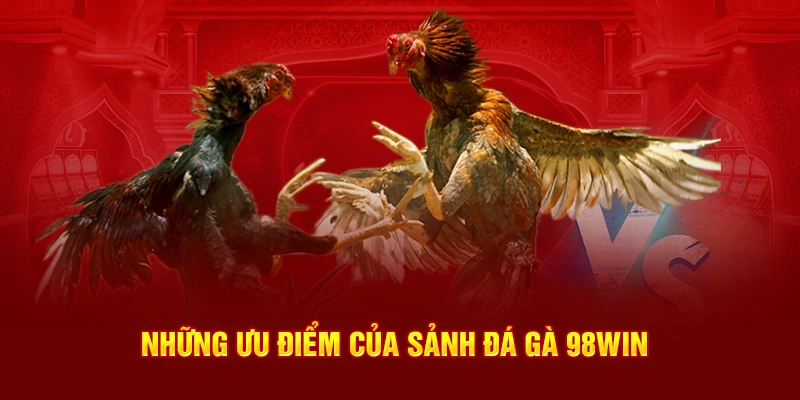 Những ưu điểm nổi bật sảnh đá gà 98WIN